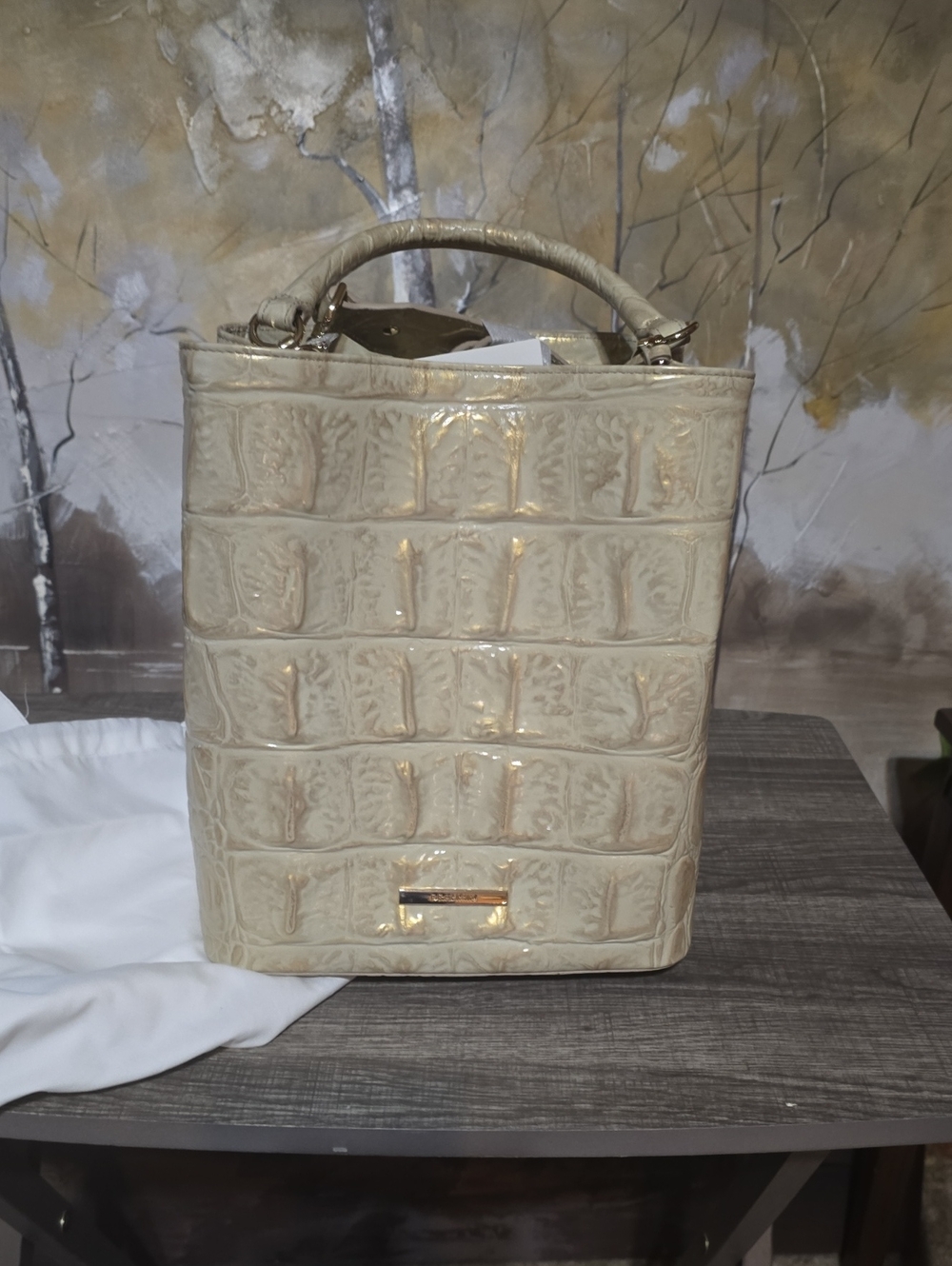 Brahmin Handbag